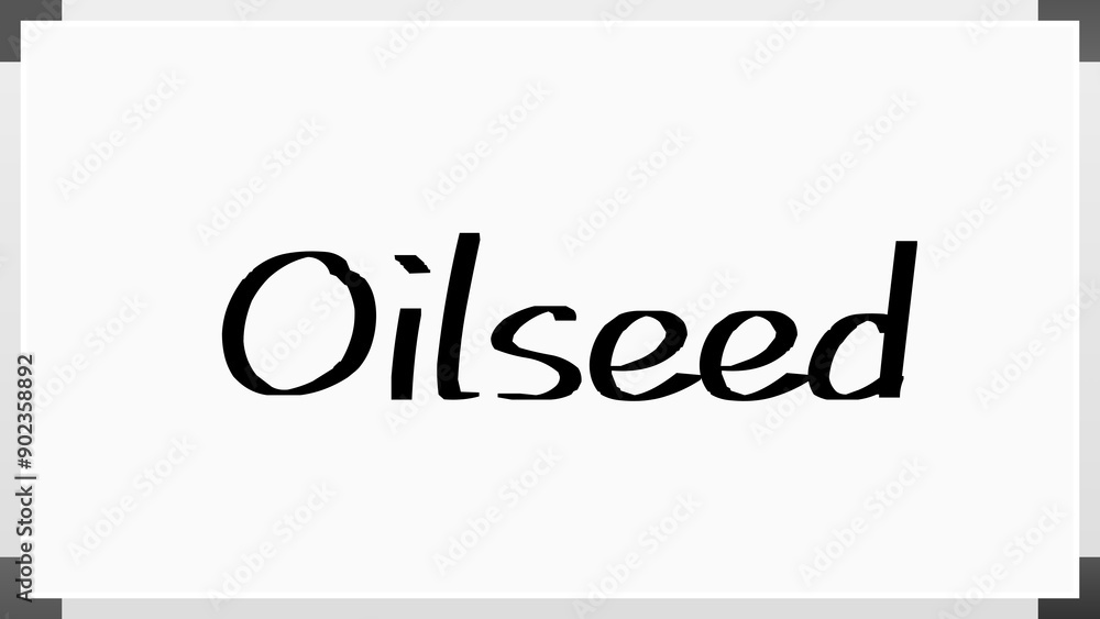Oilseed のホワイトボード風イラスト Oilseed のホワイトボード風イラスト