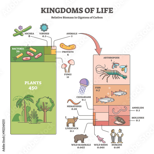Kingdoms of life as labeled biological nature classification outline diagram, transparent background. Living things species diversity in various classes with plants, bacteria, animals.