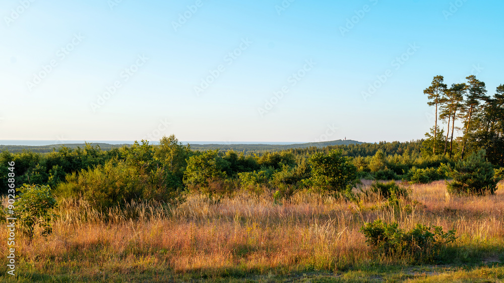 Beautiful panoramic view of the Baltic Sea from the viewpoint. Meadow illuminated by the setting sun in the foreground. Forest and sea in the distance. View towards the Stilo lighthouse. Ulinia, Pola