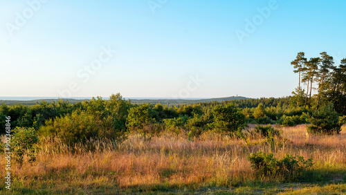 Obraz na płótnie Beautiful panoramic view of the Baltic Sea from the viewpoint. Meadow illuminated by the setting sun in the foreground. Forest and sea in the distance. View towards the Stilo lighthouse. Ulinia, Pola w salonie