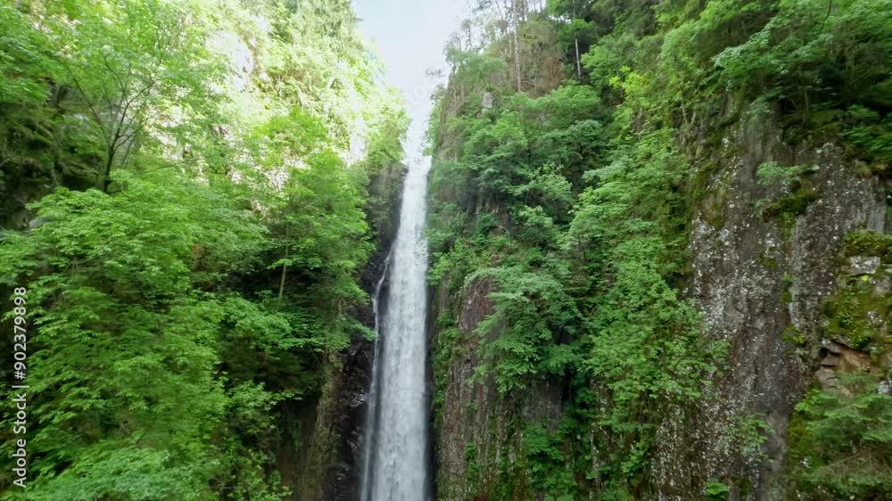 Majestic waterfall cascading down rocky cliffs surrounded by lush green forest Majestic waterfall cascading down rocky cliffs surrounded by lush green forest