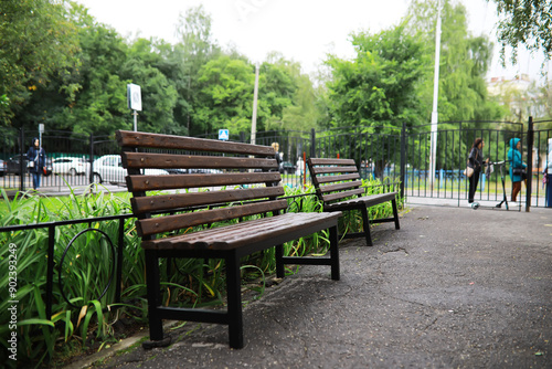 Empty Wooden Park Benches in Green Urban Park with Fence and Trees