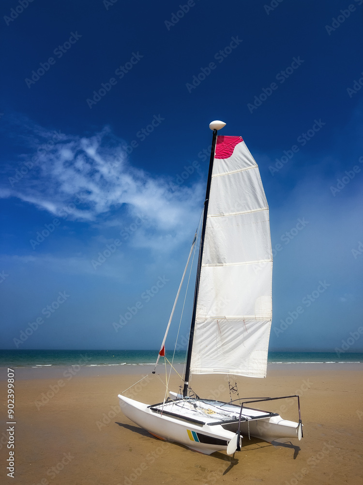 Fototapeta premium sailing