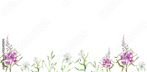 Seamless Banner. Fireweed Flowers. Blooming Sally. Set. Watercolor Sketch Illustration. Wild Plants. Design Elements for Tea Products, Postcards, Home Kitchen Textiles photo