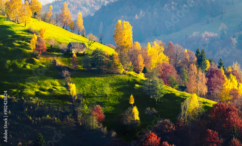 Photos Autumn landscape in Bucegi Mountains