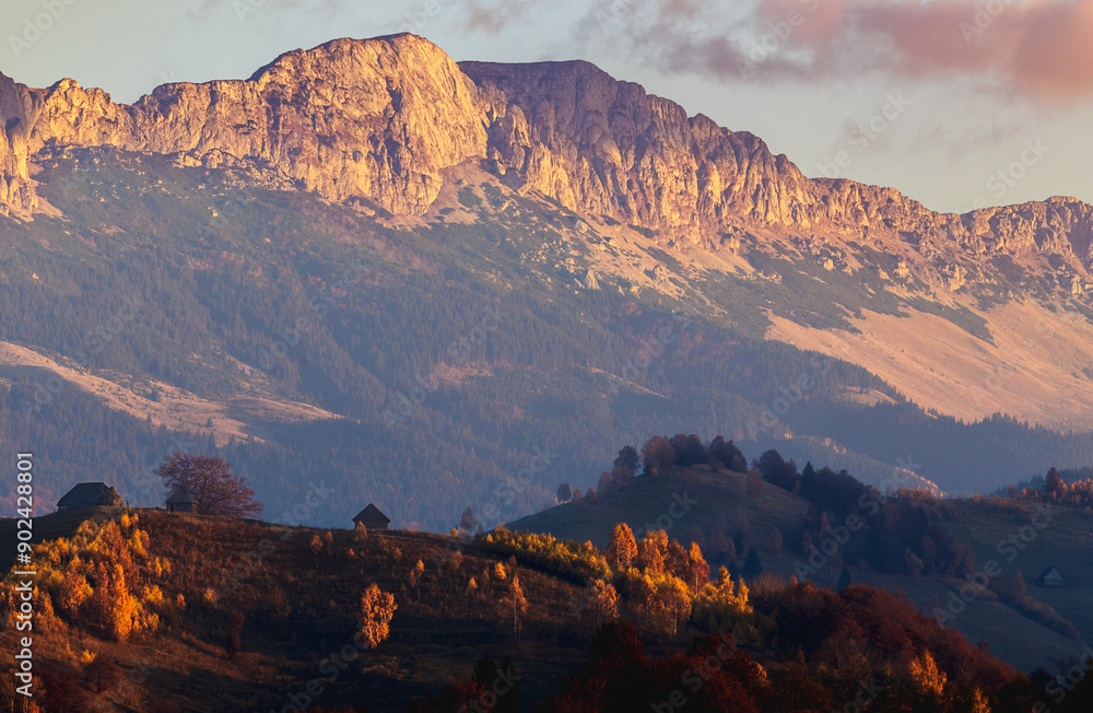 Naklejka premium Autumn landscape in Bucegi Mountains
