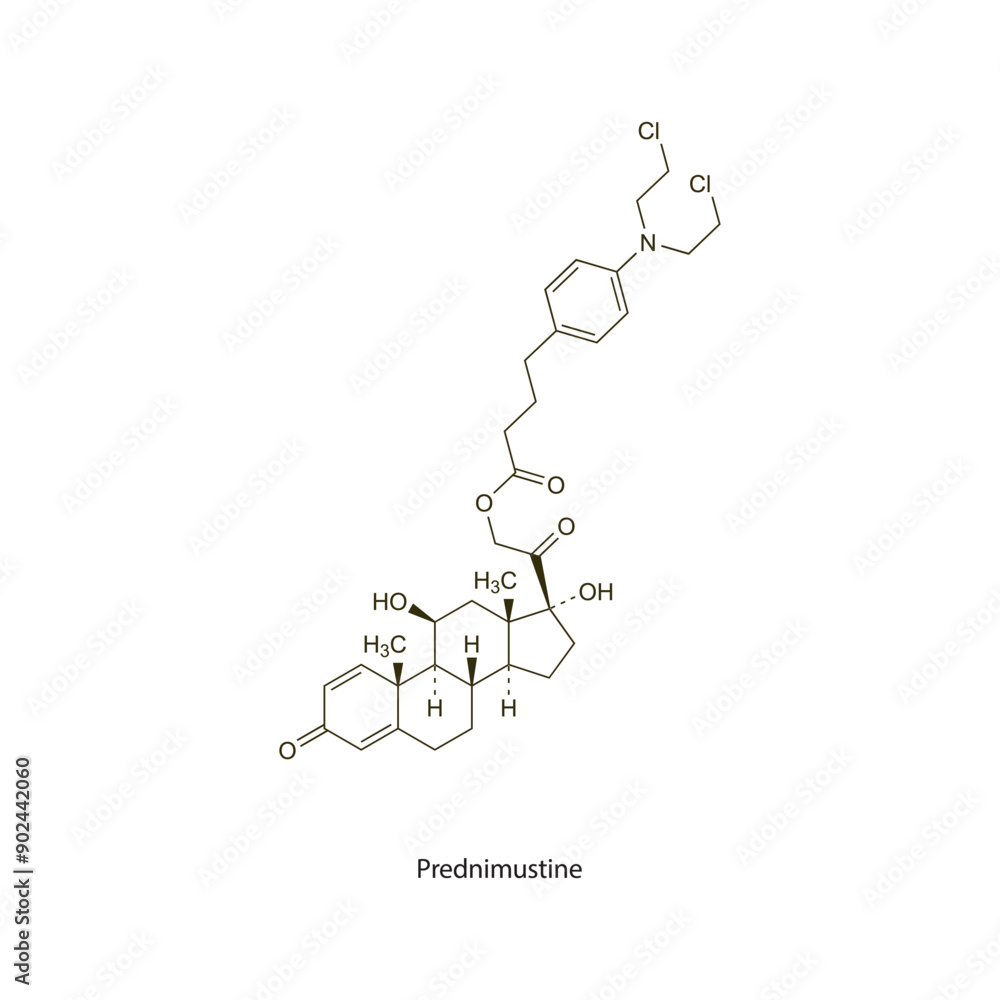 Prednimustine flat skeletal molecular structure Antineoplastic drug used in cancer treatment. Vector illustration scientific diagram. Prednimustine flat skeletal molecular structure Antineoplastic drug used in cancer treatment. Vector illustration scientific diagram.