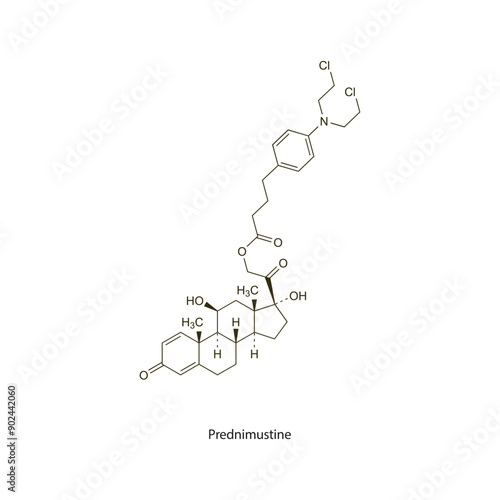 Prednimustine flat skeletal molecular structure Antineoplastic drug used in cancer treatment. Vector illustration scientific diagram.