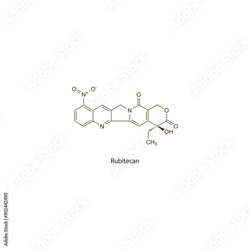 Rubitecan flat skeletal molecular structure Antineoplastic drug used in cancer treatment. Vector illustration scientific diagram.