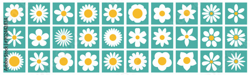 Daisy Chamomile big set. White camomile square icon. Growing concept. Cute round flower plant collection. Love card. 30 sign symbol. Different shape. Flat design. Green background. Isolated. Vector