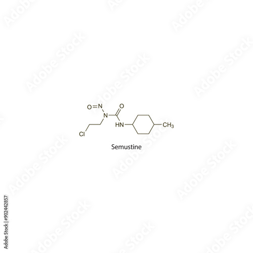 Semustine flat skeletal molecular structure Antineoplastic drug used in cancer treatment. Vector illustration scientific diagram.