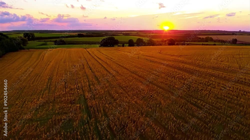 Flying over the fields at sunset Flying over the fields at sunset