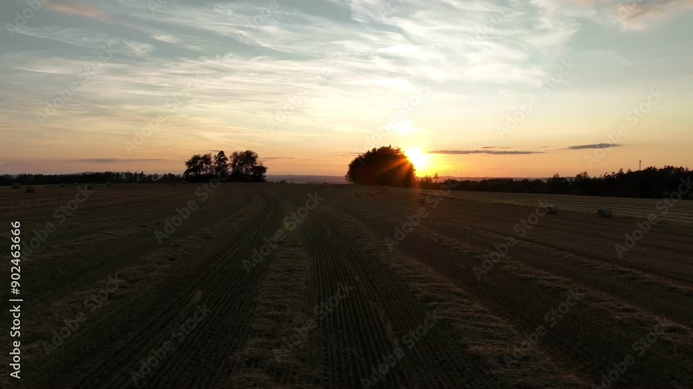 a drone shot of an evening harvested field where the sun peeks out from behind a tree, illuminating the ground with hay bales a drone shot of an evening harvested field where the sun peeks out from behind a tree, illuminating the ground with hay bales