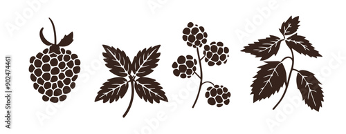 Silhouette Raspberry Leaves Branches vector