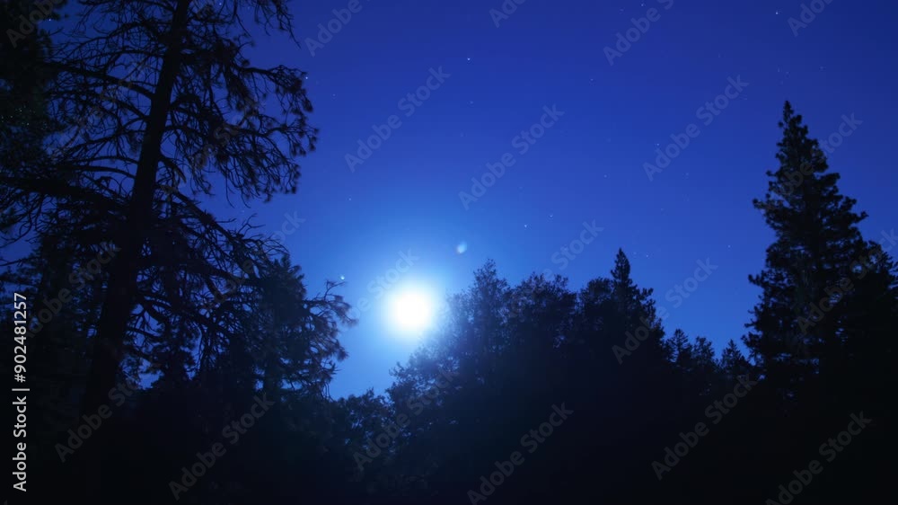 Full Moon Rises Time Lapse in Southeast Sky Above Pine Forests Pan R Tilt Up Astrophotography Full Moon Rises Time Lapse in Southeast Sky Above Pine Forests Pan R Tilt Up Astrophotography