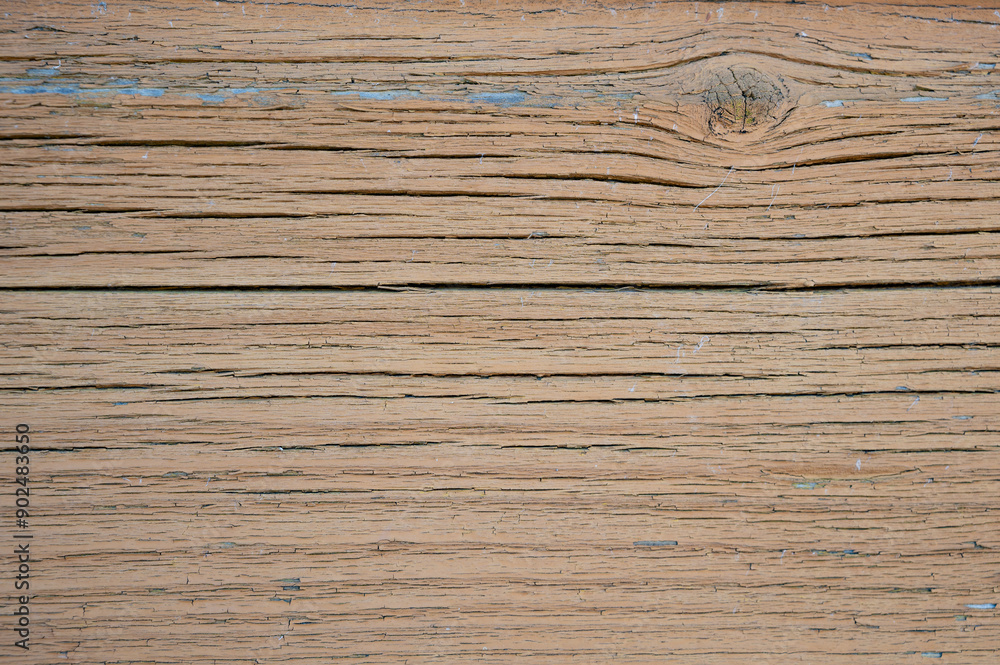 Fototapeta premium Painted wood texture. Natural pattern.