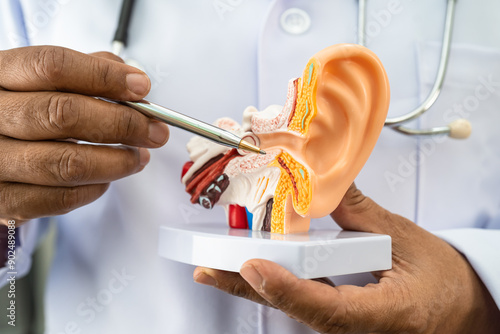 Asian doctor holding human ear model to learn and treat hearing loss in patient. photo