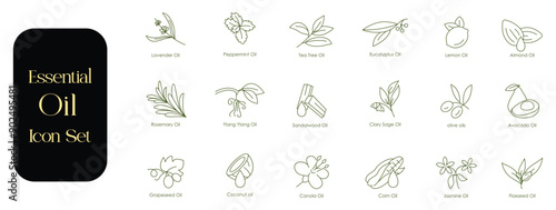 Complete Essential Oils Vector Icons: Lavender, Peppermint, Tea Tree, Eucalyptus, Lemon, Almond, Grape Seed, Canola, Jasmine, Rosemary, Ylang Ylang, Sandalwood, Clary Sage, Olive, Avocado, Coconut