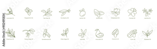 Complete Essential Oils Vector Icons: Lavender, Peppermint, Tea Tree, Eucalyptus, Lemon, Almond, Grape Seed, Canola, Jasmine, Rosemary, Ylang Ylang, Sandalwood, Clary Sage, Olive, Avocado, Coconut, Co