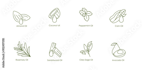 Essential Oils Vector Icons: Almond, Coconut, Peppermint, Corn, Rosemary, Sandalwood, Clary Sage, Avocado