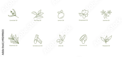 Comprehensive Oils Vector Icons: Lavender, Tea Tree, Lemon, Grape Seed, Jasmine, Rosemary, Sandalwood, Olive, Coconut, Flaxseed
