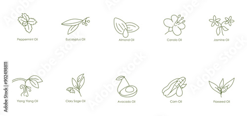 Essential and Nourishing Oils Vector Icons: Peppermint, Eucalyptus, Lavender, Almond, Canola, Jasmine, Ylang Ylang, Clary Sage, Avocado, Corn, Flaxseed oil