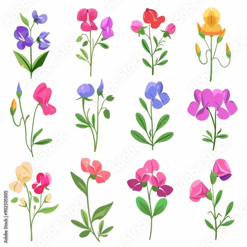 Sweet Pea Flower Icon Set, Garden Sweet Pea Flower Flat Design, Abstract Sweet Pea Flower Symbol