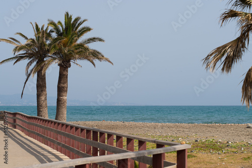 Marbella Palms