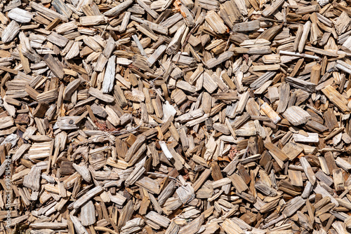 Photos detail of fresh wood chips