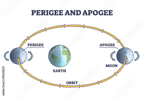 Perigee and apogee moon cycle and orbit around earth outline diagram, transparent background. Labeled educational astronomy process with elliptical planet movement in space illustration.