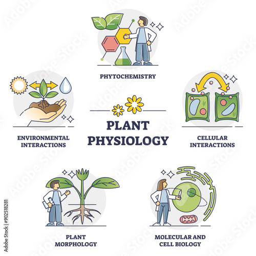 Plant physiology five key areas study and research outline collection set, transparent background. Labeled educational elements.