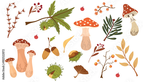 Set of dried autumn leaves, berries and mushrooms vector flat illustration. Collection of various chestnut, acorn, branches and foliage isolated on white. Beautiful seasonal rowanberries and oak leaf