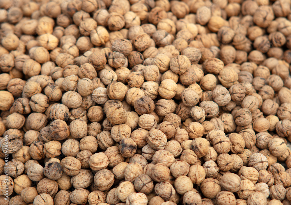 Pile of walnuts background Pile of walnuts background