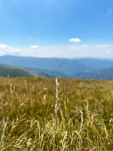 Midzor Srbija Stara planina mountain hiking  photo