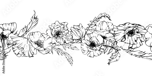Hand drawn vector graphic botanical illustration flowers leaves. Red poppy papaver, stems buds seedpods. Seamless banner isolated white background. Design wedding, cards, remembrance day stationery