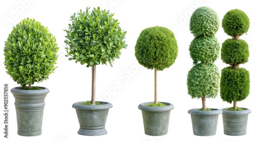 Set of topiary green trees isolated on white background, collage graphics.