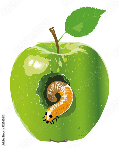 A Worm eating devour a hole in a green apple.