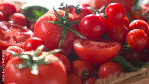 Small tomato drop to tomato basket slowmo