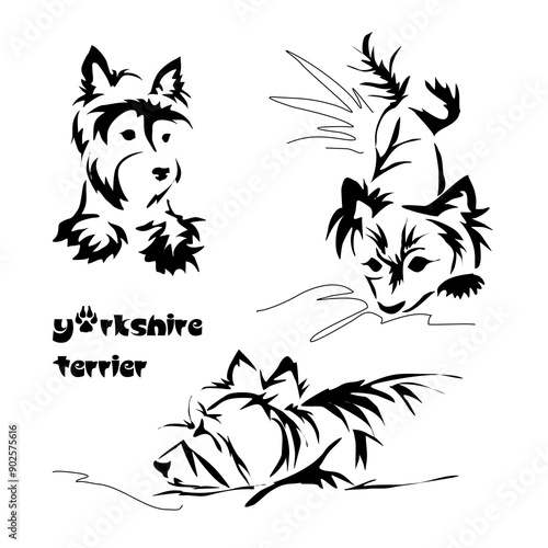 Stylized Yorkshire Terrier. Vector drawing of a small dog. Gestalt animal design