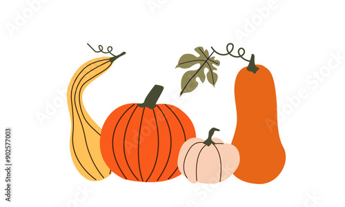 Pumpkins. Autumn composition with pumpkins. Fresh vegetables. Harvesting. Invitation to the Thanksgiving of the autumn season. Vector flat cartoon illustration isolated on the white background. photo