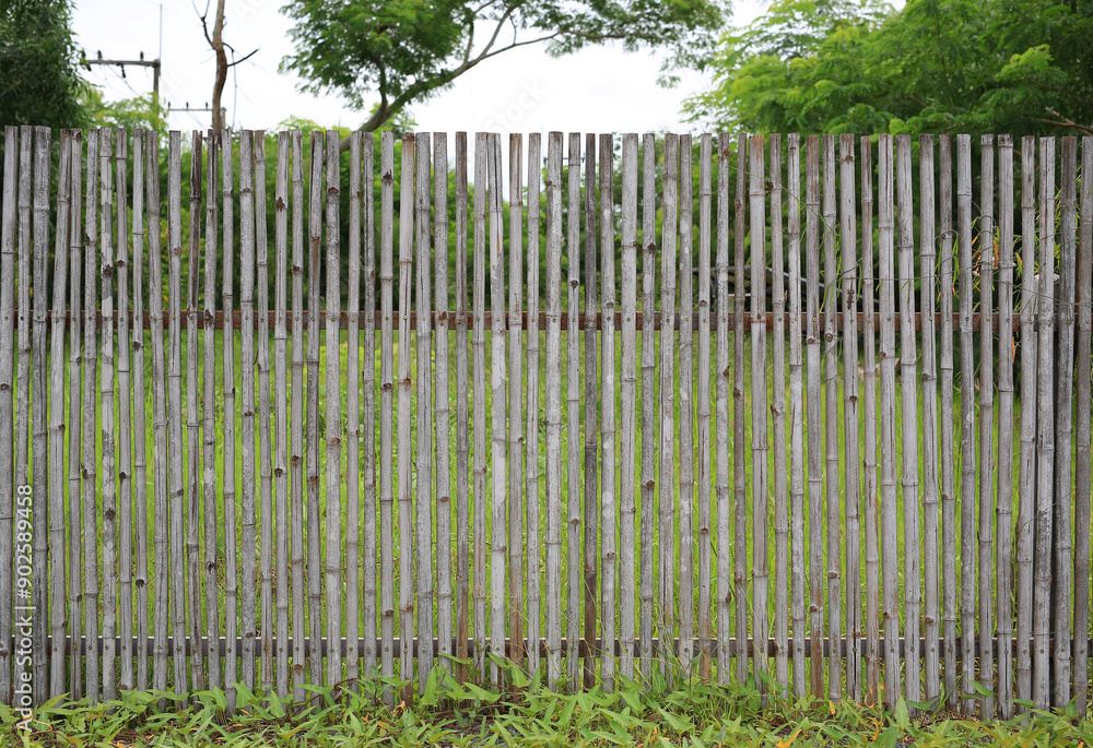 Fototapeta premium Old bamboo fence in the green garden.