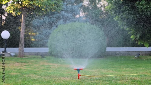 Circular water sprinkler in the garden. 4K video with a water sprinkler while watering the lawn grass garden int he early morning.