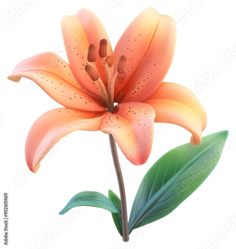 PNG Vibrant orange lily flower illustration photo