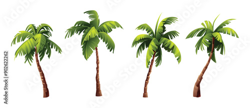 Set of tropical coconut palm tree. Vector cartoon illustration