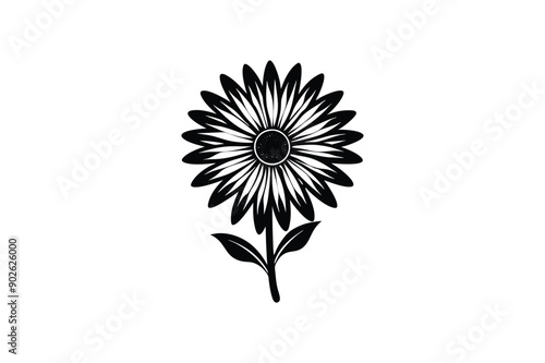 Beautiful African Daisy vector art illustration 