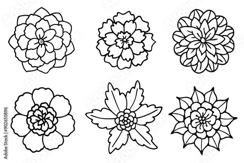 Marigold line art illustration Design Concepts