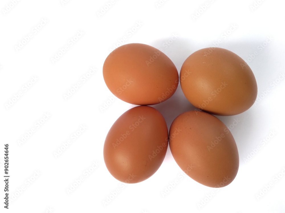chicken egg isolated on white background chicken egg isolated on white background