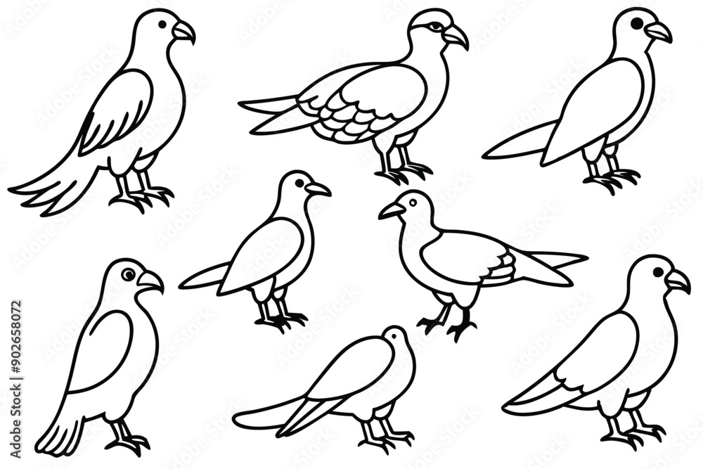 Obraz premium Osprey bird line art illustration