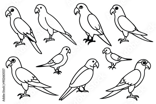 Parrot bird line art illustration