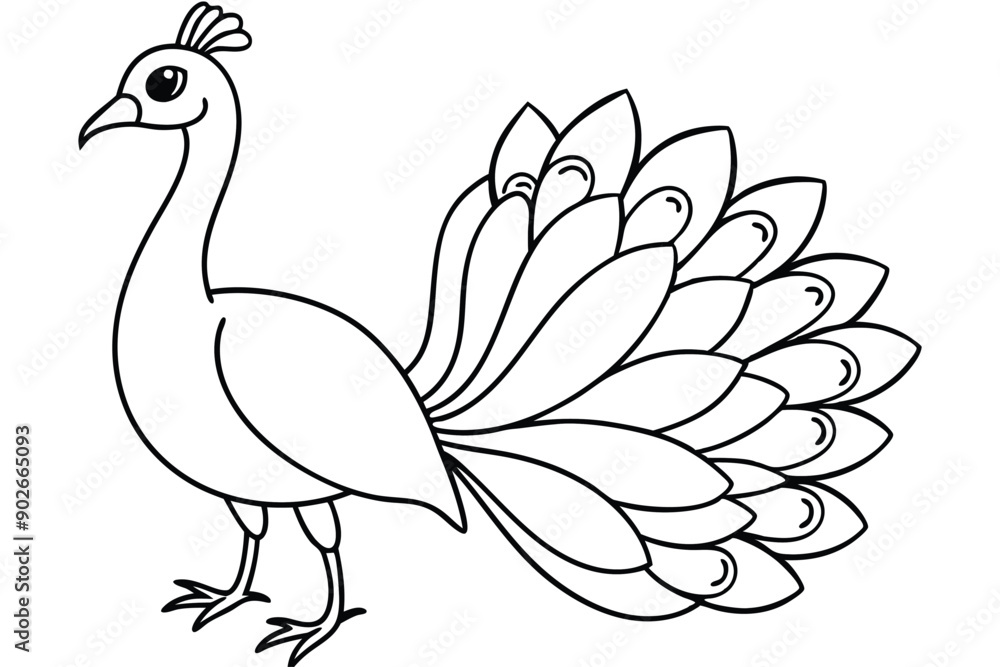 Fototapeta premium Peacock line art illustration Design Concepts
